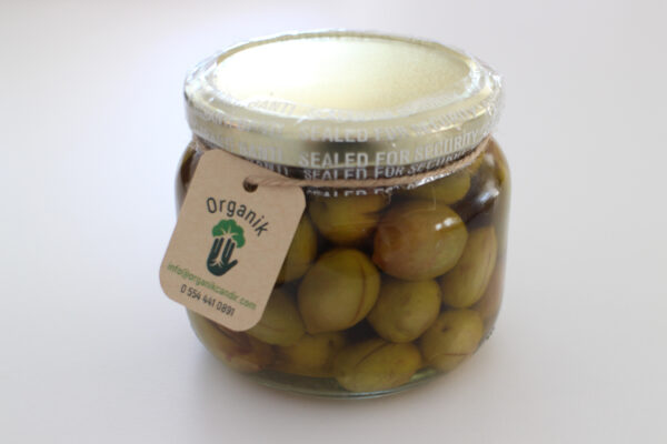 500 gr  Organik Yeşil Zeytin